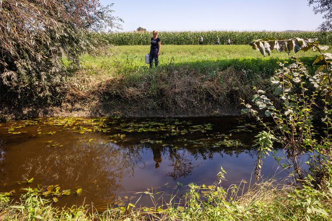 Inšpektorji obeh pristojnih inšpektoratov so danes opravili ogled ob strugi Bevškega jarka in odvzeli vzorce vode. FOTO: Črt Piksi