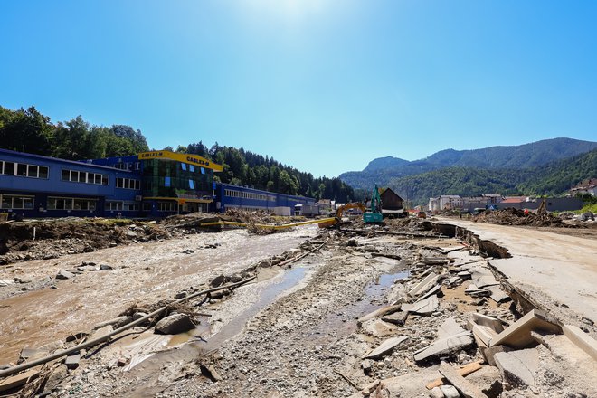 Domorodne vrste komarjev na podlagi ekologije imenujemo tudi poplavni komarji. Vprašanje, zakaj jih je prav zdaj veliko, je seveda povsem odveč. Foto Črt Piksi