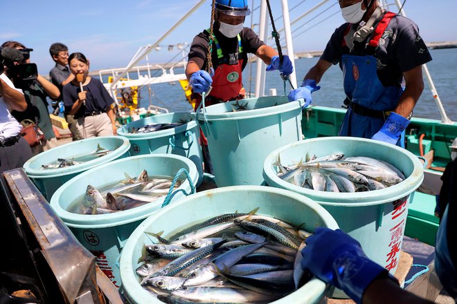 Japonski ribiči. FOTO: AFP