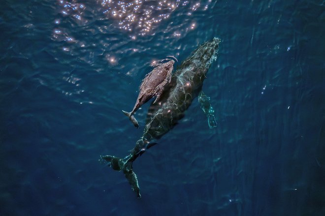 Oceani pokrivajo 70 odstotkov Zemlje in so še vedno zelo slabo raziskani. Foto Carl De Souza/AFP