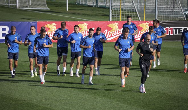 Trening nogometne reprezentance na Brdu pri Kranju. FOTO: Jože Suhadolnik