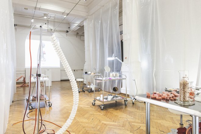 Umetnico je navdihnilo sodelovanje v tehnološki ekipi Prime 3D, ki si razvija sisteme 3D-tiskanja za medicinski sektor z namenom 3D-tiskanja telesnih organov v mehkih materialih. FOTO: Janez Klenovšek
