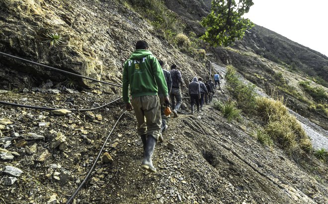 Deset primerov so povezali s t. i. agrobiznisom oziroma trgovanjem na področju kmetijstva, osem z rudarstvom, štiri pa s sečnjo. FOTO: Luis Acosta/AFP