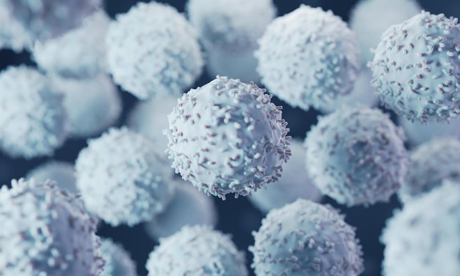 Namen zdravljenja z virusno specifičnimi limfociti T je vzpostavitev aktivne imunosti proti določenemu patogenu. FOTO: Shutterstock