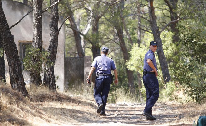 Policisti strelca niso videli, so pa slišali strel in nato zvok naboja, ki je zadel vejo v krošnji drevesa v njihovi neposredni bližini na hrvaški strani meje. Fotografija je simbolična. FOTO: Duje Klarić/Cropix