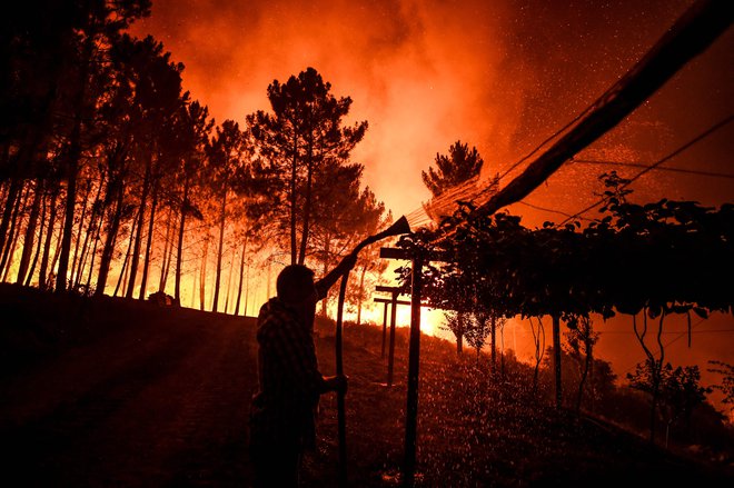 Povod za tožbo so bili uničujoči požari leta 2017 na Portugalskem. FOTO: Patricia De Melo Moreira/AFP