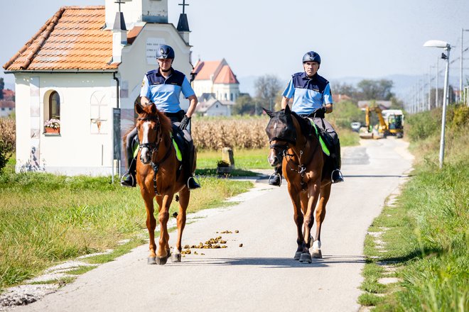 Nove policijske patrulje na območju Policijske uprave Novo mesto so postavljene v Rigoncah, Trnovcu pri Metliki in Kalinu pri Obrežju. FOTO: Črt Piksi/Delo