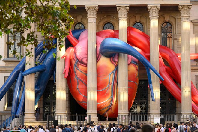 Umetniška instalacija El Corazon Secreto (Skrivno srce) španskega umetnika Jaumeja Plense je bila razkrita ob včerajšnjem  svetovnem dnevu srca v bolnišnici v Barceloni. Foto: Josep Lago/Afp