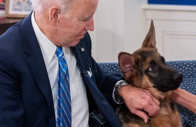 Pasje obnašanje je menda povzročilo tudi napetosti med zakoncema Biden in ameriško tajno službo.FOTO: Saul Loeb/AFP