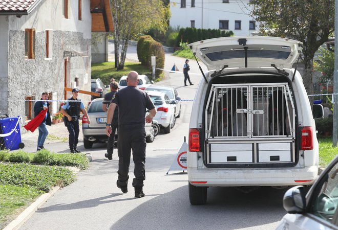 Policisti so ubežnika iskali tudi s službenimi psi. FOTO: Dejan Javornik/Slovenske novice