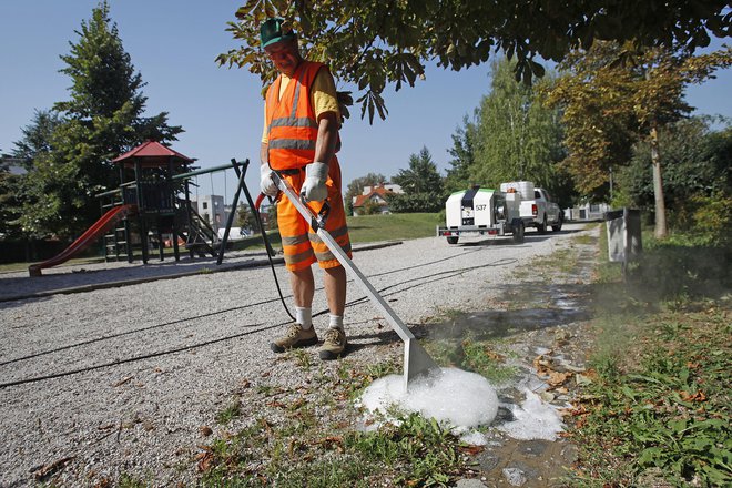 Uničevanje plevela brez pesticidov. FOTO: Leon Vidic/Delo