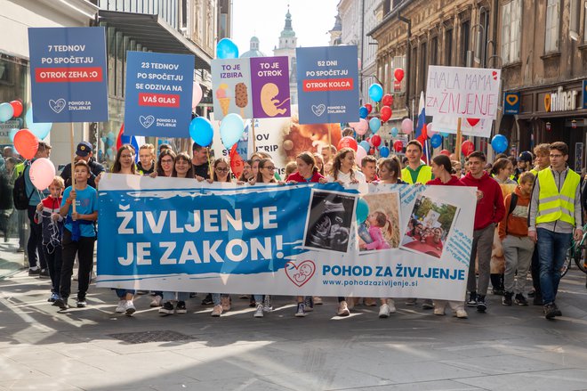 V nekaterih evropskih državah splava ne dovoljujeta ne ustava ne zakon. Na fotografiji nedavni »shod za življenje« v Ljubljani. FOTO: Voranc Vogel/Delo