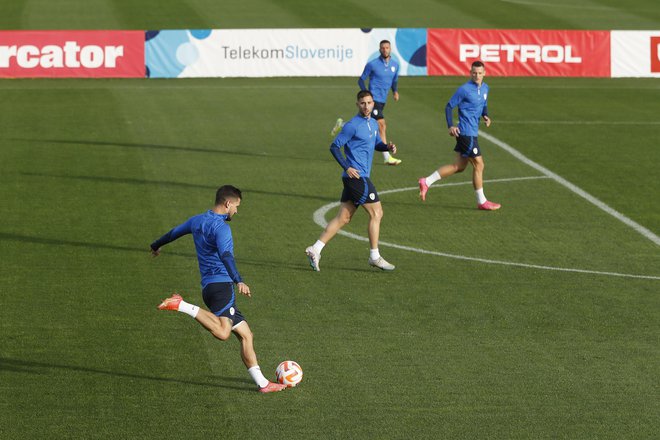 Izbrana vrsta za Finsko pripravlja tudi nekaj novih taktičnih različic. Foto Leon Vidic