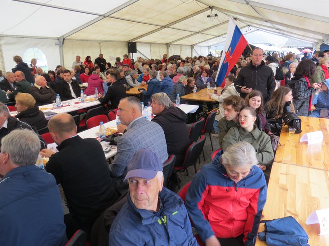 Kljub slabemu vremenu se je partizanskega spominskega dogodka v Dobrniču udeležilo več kakor tisoč ljudi. FOTO: Bojan Rajšek/Delo