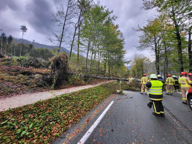 Veter je lomil drevesa. FOTO: Pgd Bohinjska Bistrica - Prostovoljno Gasilsko Društvo/Fb