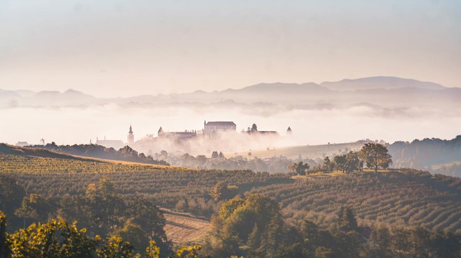 Pot na Mestni Vrh razvaja s čudovitimi razgledi na Ptujski grad. FOTO: Stanko Kozel