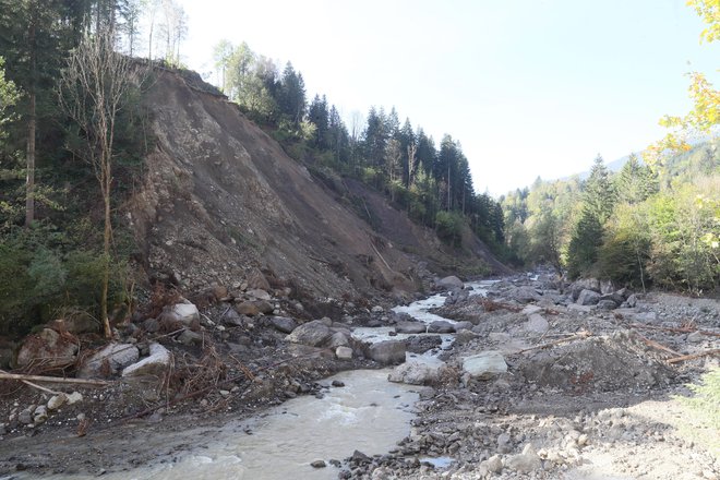 Strah, da bi plaz zajezil Savinjo, je velik. To bi bila katastrofa ne le za Struge, ampak tudi za Ljubno. FOTO: Dejan Javornik