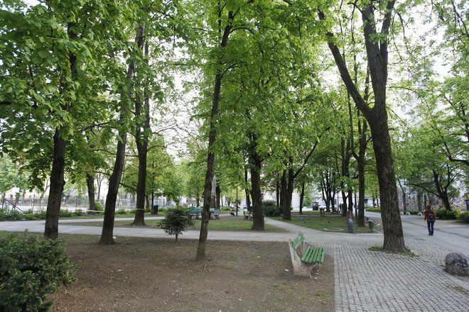 Osumljenca so prijeli v bližini kraja dejanja, ki se je zgodilo na Taboru v Ljubljani. FOTO: Leon Vidic/Delo