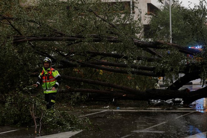 Večino smrtnih nesreč so povzročila padla drevesa. Več ljudi je tudi poškodovanih, 15 samo v Franciji, med njimi sedem gasilcev. FOTO: Susana Vera/Reuters