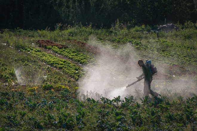 Prenovljena zakonodaja mora biti pravno zavezujoča, menijo v odboru za okolje evropskega parlamenta. FOTO: Regis Domergue Biosphoto/Afp