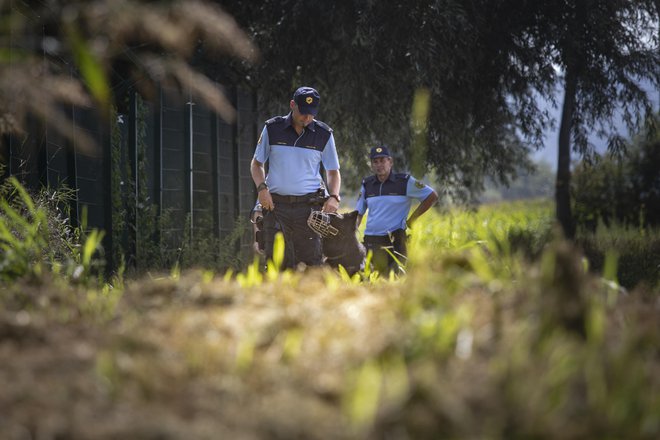 Patrulje slovenskih policistov na reki Kolpi avgusta leta 2019. FOTO: Voranc Vogel/Delo