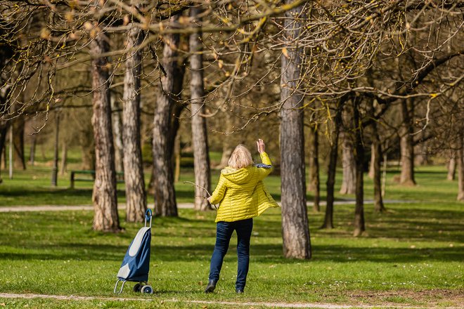 V dodatno pokojninsko zavarovanje je bilo konec lanskega leta vključenih 60 odstotkov zaposlenih, zavarovanje je omogočalo 9500 delodajalcev. FOTO: Črt Piksi/Delo