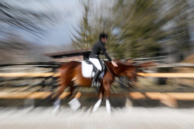 Dekle se je zdravilo zaradi hudih poškodb po padcu s konja. Simbollčna fotografija. FOTO: Marko Feist/Slovenske novice