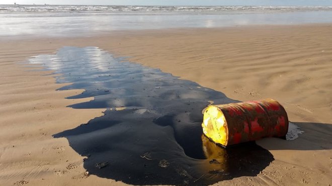 V onesnaženih oceanih plastika že izpodriva morski živelj. Na celinah se širijo puščave. Mnoge rastlinske in živalske vrste pred očmi izumirajo vsak dan. Mi pa še naprej rinemo po svojem starem črednem nagonu ... FOTO: Ho/Afp