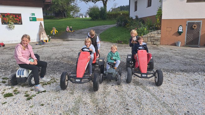 Poleg živali druga največja atrakcija na turistični kmetiji FOTO: Mirko Strle