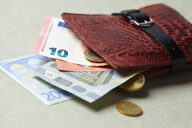 Povprečna neto plača je v javnem sektorju za skoraj 300 evrov višja kot v zasebnem. FOTO: Shutterstock 