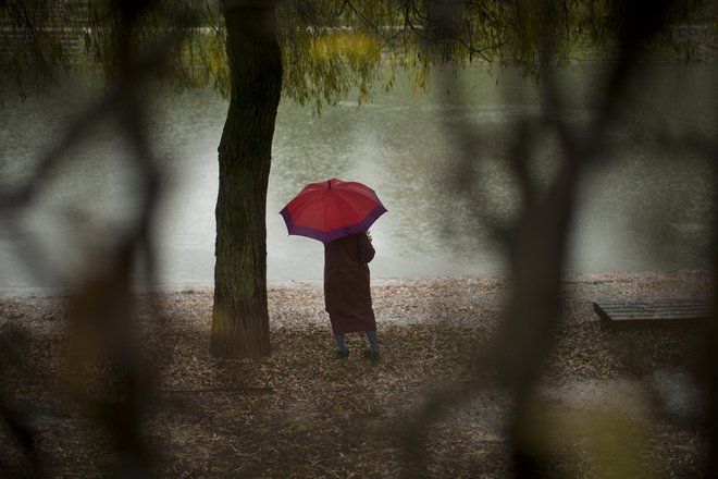 Do 6. decembra potekajo dnevi aktivizma – boja proti nasilju nad ženskami. FOTO: Jure Eržen/Delo