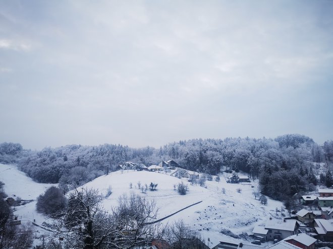 Meja sneženja se je včeraj hitro spuščala in se v večjem delu države spustila do nižin. FOTO: B.B.