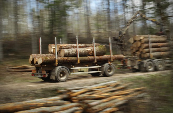 Gozdovi bodo vse bolj na udaru: ne gre le za emisije, podnebne spremembe, suše in druge vremenske pojave, vedno bolj se oglašuje uporaba lesa v različne namene. FOTO: Jure Eržen/Delo