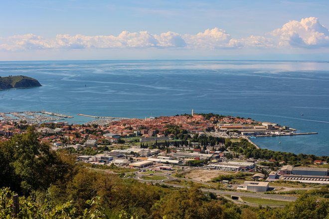 Koprski kriminalisti so v občinskem poslu s prodajo zemljišča v Livadah, na katerem se trenutno gradi največji stanovanjski projekt v Izoli, zaznali sum kaznivih dejanj. FOTO: Črt Piksi/Delo