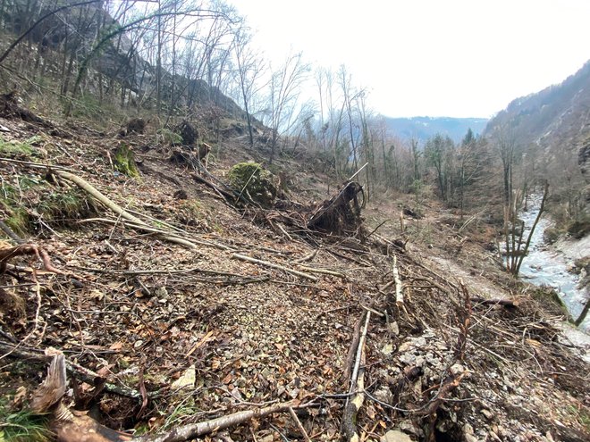 Partizanska bolnica Franja po vetrolomu. FOTO: Luka Kalan 