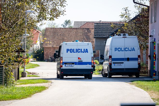 Policijski vozili na Obrežju FOTO: Črt Piksi/Delo