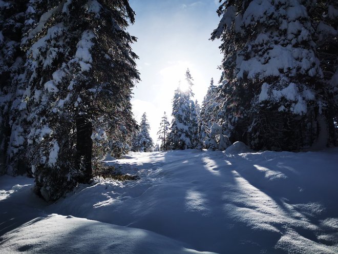 Sončni žarki so otoplili ozračje, sneg pa je postajal vse bolj moker in težek. FOTO: Beti Burger