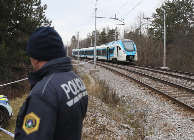 Železniška nesreča se je zgodila pri Prestranku. FOTO: Dejan Javornik