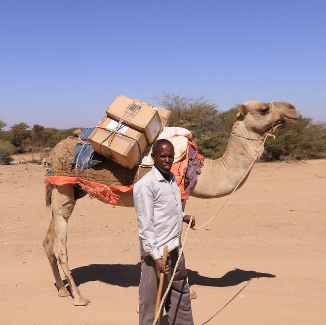 Mustafe Osman Abdi vodi potujočo knjižnico v oddaljenih predelih Somalije in knjige tovori do bralcev s kamelo. FOTO: Book Aid International