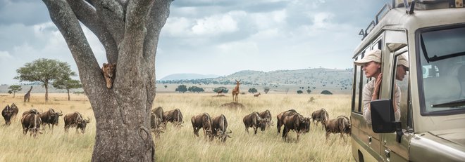 Večina turistov se v ta del sveta odpravi zaradi hribolazništva in safarijev; med njimi sem srečal neproporcionalno veliko Dancev. FOTO: Shutterstock