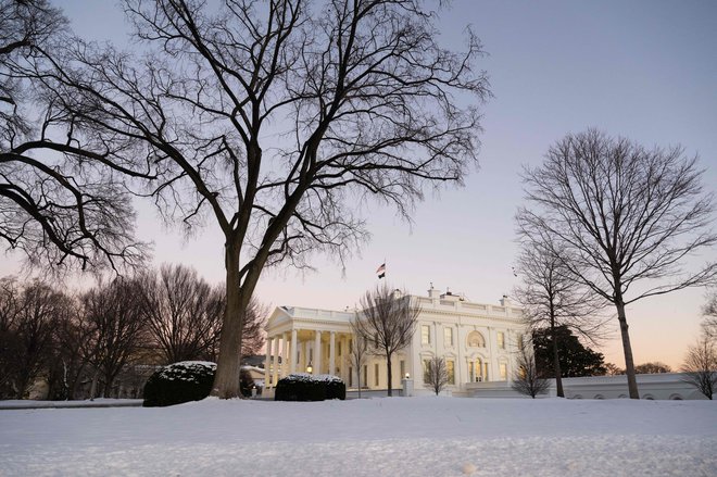 V prestolnici Washington je v sredo zapadlo do deset centimetrov snega. FOTO: Saul Loeb/AFP