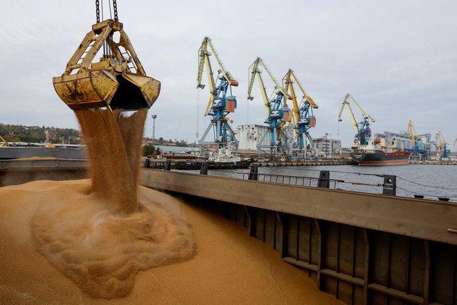 Če bo pridelek pšenice res večji, bo to nekoliko ublažilo težave, ki jih je povzročila vojna v Ukrajini. FOTO: Alexander Ermochenko/Reuters