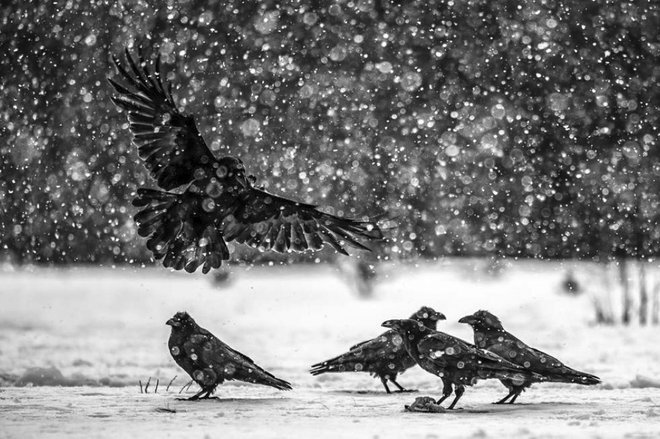 Fotografija je simbolična. FOTO: Gorazd Golob