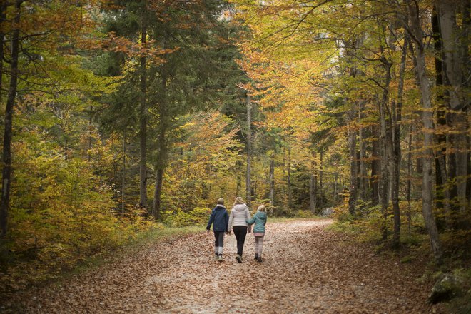 Tolažba je povezovanje, ki utrjuje vezi. Včasih se zgodi, da otroci skrbijo za starše ob skupni izgubi bližnjega. FOTO: Jure Eržen/Delo