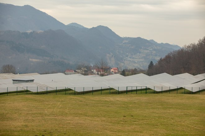 Proizvodnja elektrike iz neogljičnih virov pokriva vse nove potrebe po tej vrsti energije, ugotavlja IEA. Na fogografiji je sončna elektrarna Prapretno pri Hrastniku. FOTO: Voranc Vogel/Delo