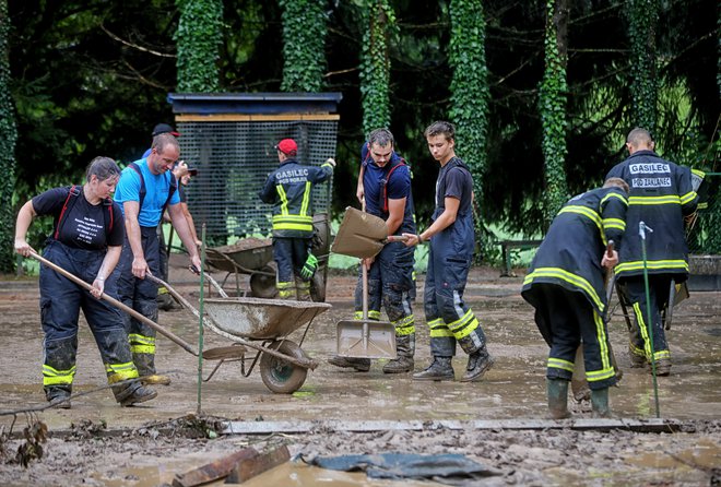 Na vrhu lestvice spletnih ogledov so bile lani tudi samokolnice – najbrž zaradi odpravljanja posledic ujm. FOTO: Blaž Samec