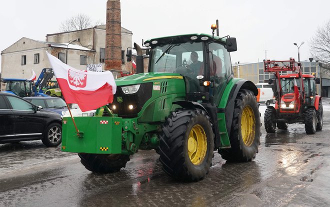 Na Poljskem so kmalu bili plat zvona, ker je cenejša ukrajinska pšenica, ki je pred vojno šla v druge dele sveta, končala na njihovem trgu. FOTO: Janek Skarzynski/AFP