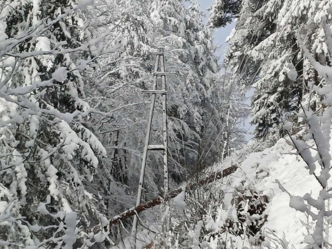 Na Elektru Ljubljana pravijo, da traso daljnovoda med Dolskim in Senožetmi čistijo skladno s predpisi. FOTO: Bojan Rajšek/Delo