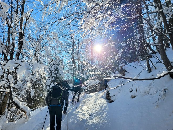 Pomembno je tudi, da tisti, ki za nekoga skrbijo, poskrbijo tudi zase. FOTO: Tina Horvat/Delo