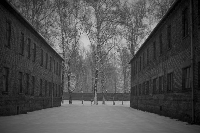 Temeljna opredelitev povojne Evrope je bil obnovljeni spomin na mrtve evropske Jude. In kje je v času najhujših hudodelstev obnovljena človečnostza Palestince? Na fotografiji Auschwitz.

FOTO: Vogel Voranc/Delo